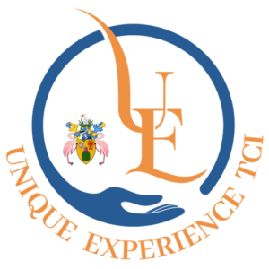 Logo-UniqueExperience-TCI