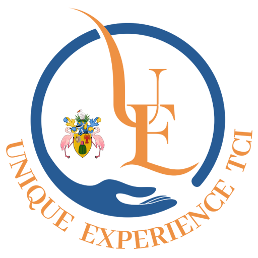 Logo-UniqueExperience-TCI